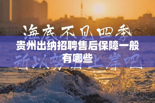 贵州出纳招聘售后保障一般有哪些