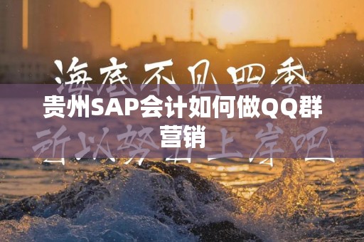 贵州SAP会计如何做QQ群营销