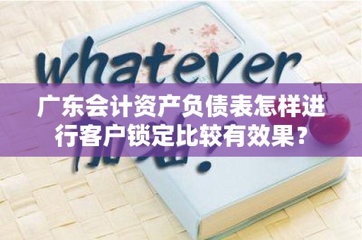 广东会计资产负债表怎样进行客户锁定比较有效果？