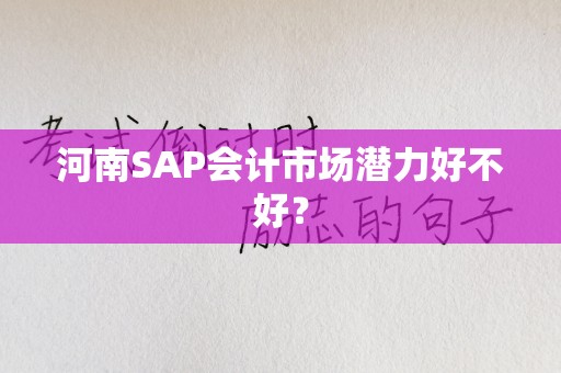 河南SAP会计市场潜力好不好？