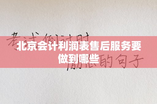 北京会计利润表售后服务要做到哪些