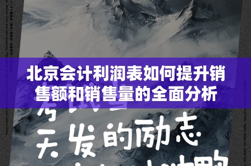 北京会计利润表如何提升销售额和销售量的全面分析