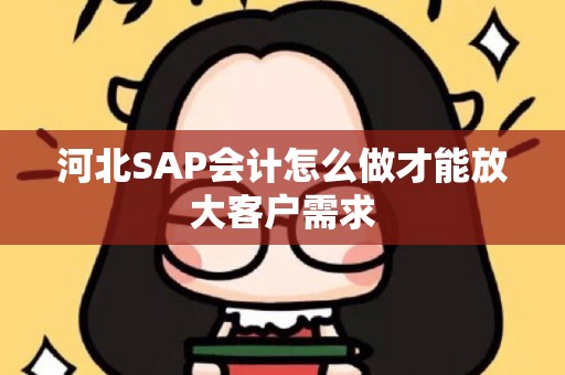 河北SAP会计怎么做才能放大客户需求