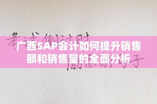 广西SAP会计如何提升销售额和销售量的全面分析