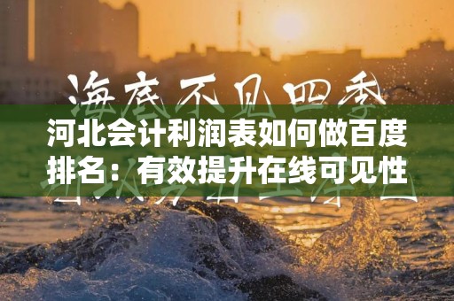 河北会计利润表如何做百度排名：有效提升在线可见性的方法