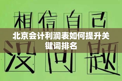 北京会计利润表如何提升关键词排名