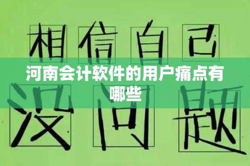 河南会计软件的用户痛点有哪些
