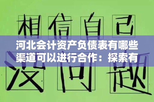 河北会计资产负债表有哪些渠道可以进行合作：探索有效合作伙伴