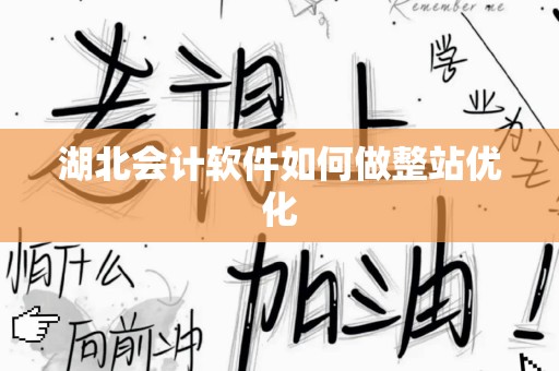 湖北会计软件如何做整站优化
