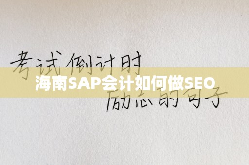 海南SAP会计如何做SEO