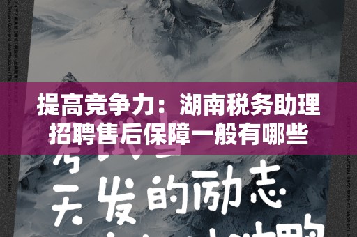 提高竞争力：湖南税务助理招聘售后保障一般有哪些