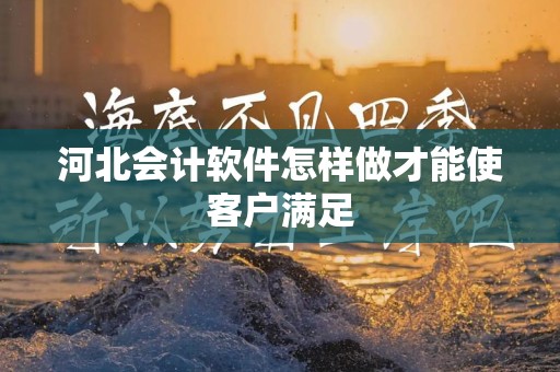河北会计软件怎样做才能使客户满足