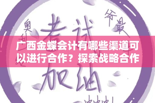广西金蝶会计有哪些渠道可以进行合作？探索战略合作的多种途径