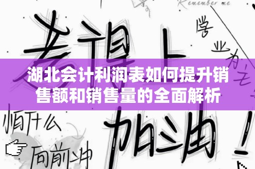 湖北会计利润表如何提升销售额和销售量的全面解析