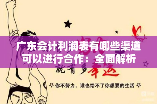 广东会计利润表有哪些渠道可以进行合作：全面解析