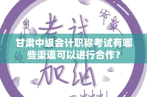 甘肃中级会计职称考试有哪些渠道可以进行合作？