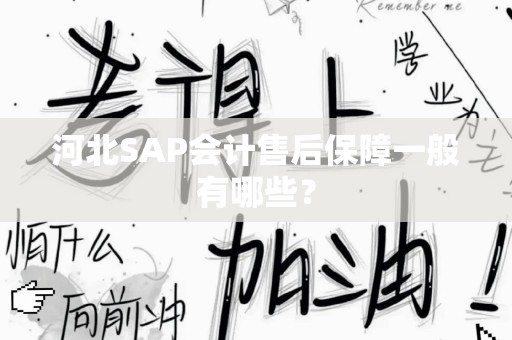 河北SAP会计售后保障一般有哪些？