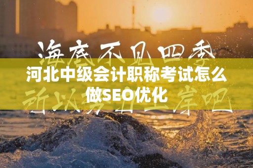 河北中级会计职称考试怎么做SEO优化