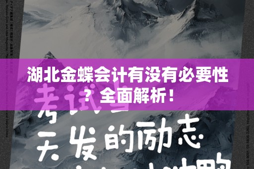 湖北金蝶会计有没有必要性？全面解析！