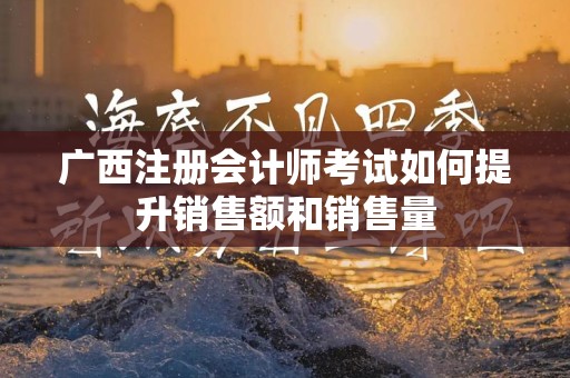 广西注册会计师考试如何提升销售额和销售量