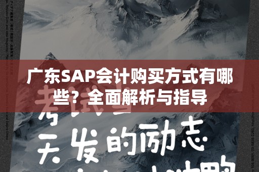 广东SAP会计购买方式有哪些？全面解析与指导