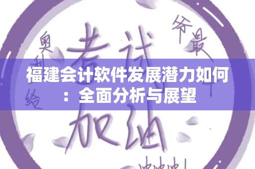 福建会计软件发展潜力如何：全面分析与展望