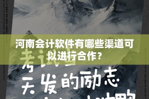 河南会计软件有哪些渠道可以进行合作？