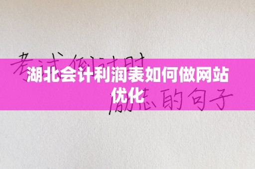 湖北会计利润表如何做网站优化