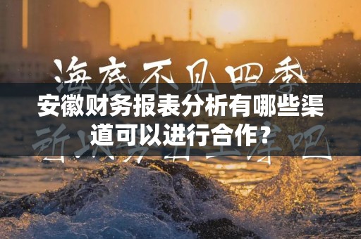 安徽财务报表分析有哪些渠道可以进行合作？