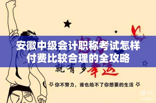 安徽中级会计职称考试怎样付费比较合理的全攻略