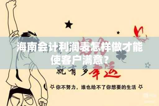 海南会计利润表怎样做才能使客户满意？