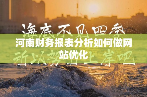 河南财务报表分析如何做网站优化