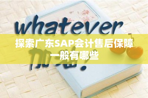 探索广东SAP会计售后保障一般有哪些