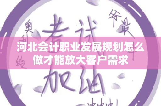 河北会计职业发展规划怎么做才能放大客户需求