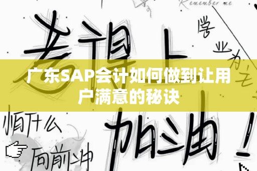 广东SAP会计如何做到让用户满意的秘诀