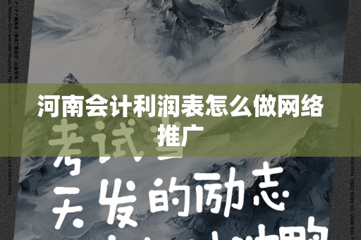 河南会计利润表怎么做网络推广
