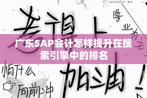广东SAP会计怎样提升在搜索引擎中的排名