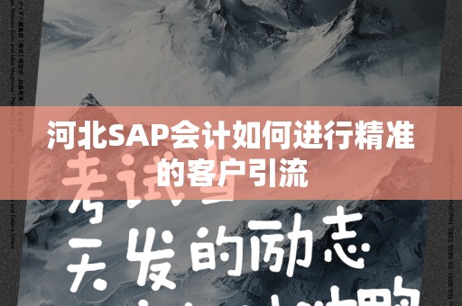 河北SAP会计如何进行精准的客户引流