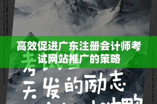 高效促进广东注册会计师考试网站推广的策略