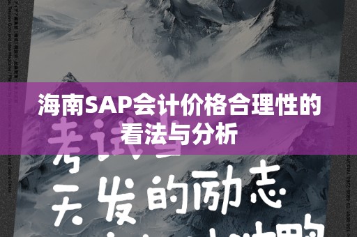 海南SAP会计价格合理性的看法与分析