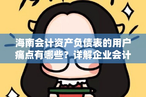海南会计资产负债表的用户痛点有哪些？详解企业会计管理困境