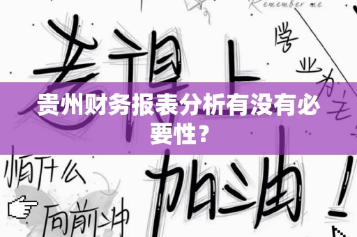 贵州财务报表分析有没有必要性？