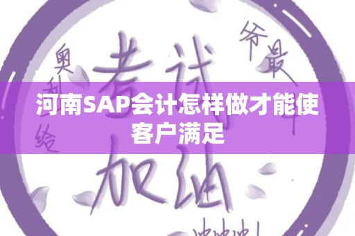 河南SAP会计怎样做才能使客户满足