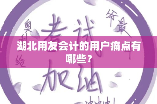 湖北用友会计的用户痛点有哪些？