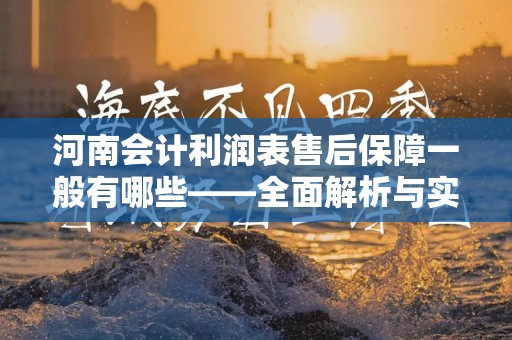 河南会计利润表售后保障一般有哪些——全面解析与实践指南