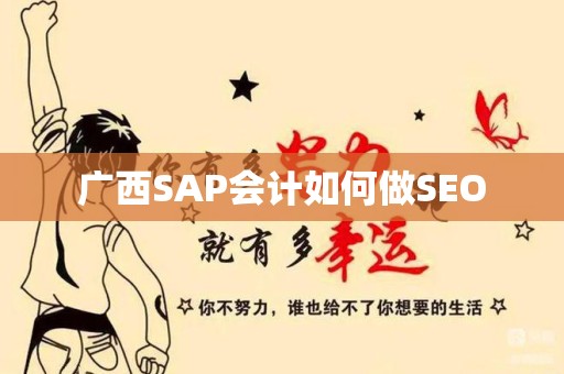 广西SAP会计如何做SEO