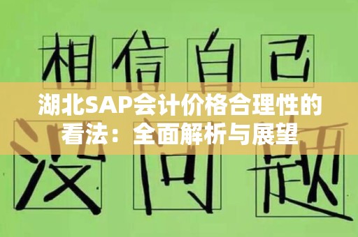 湖北SAP会计价格合理性的看法：全面解析与展望