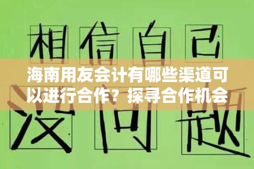 海南用友会计有哪些渠道可以进行合作？探寻合作机会与策略