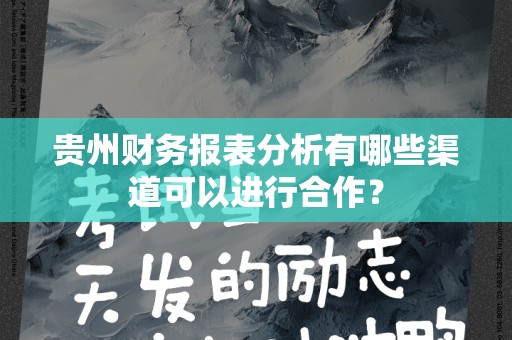 贵州财务报表分析有哪些渠道可以进行合作？