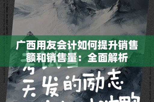 广西用友会计如何提升销售额和销售量：全面解析